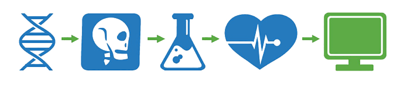 orders diagram